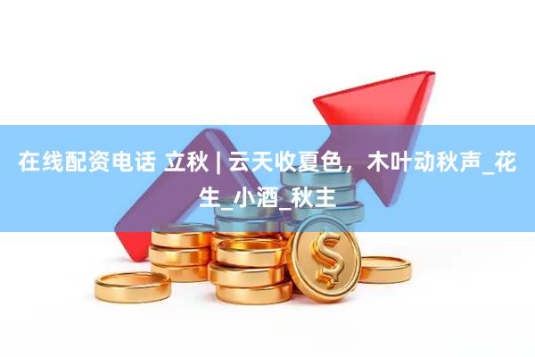 在线配资电话 立秋 | 云天收夏色，木叶动秋声_花生_小酒_秋主